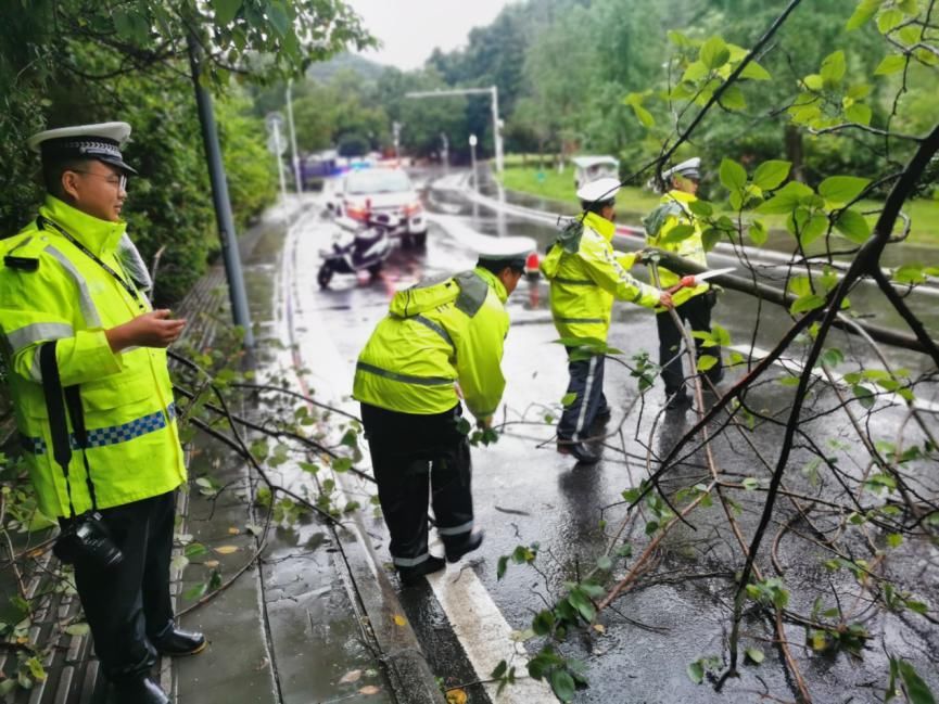  交警|雨大树倒堵路 交警锯树通路