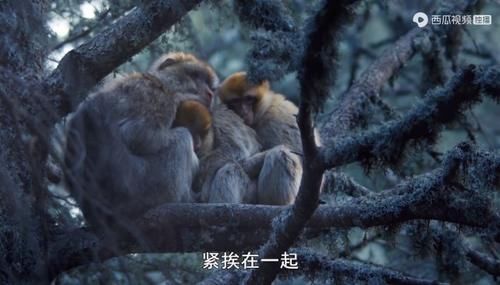  佳作|豆瓣预定超9分的佳作：原来我们错过许多惊喜，真遗憾没早点看到