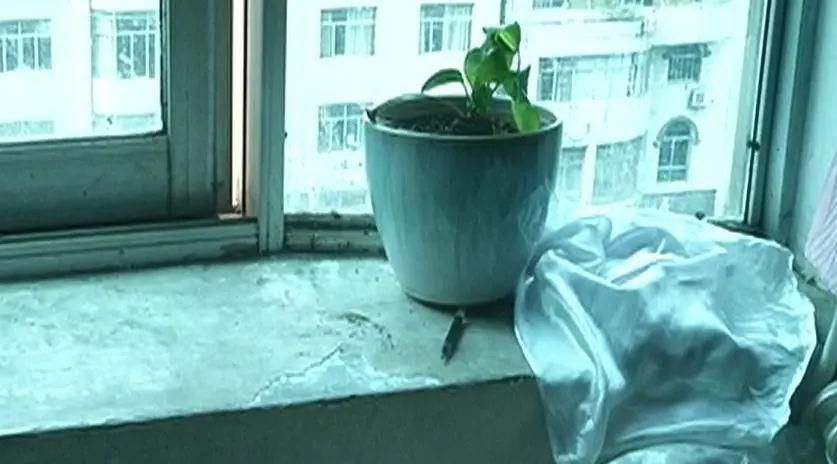  小心|贵州丨一块石头从天而降，击中路人！这栋楼大家要小心啊！