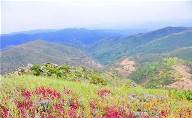 东线|草原天路（四）——东线