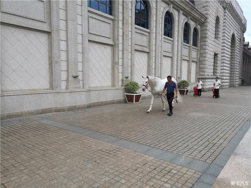  打卡|打卡东方水城威尼斯 近距离感受欧式风情