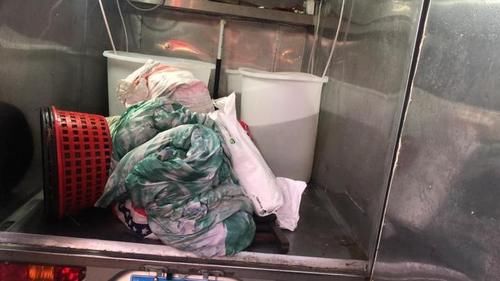  连夜|刚上岸的梭子蟹多少鲜啊！男子连夜开车上码头抢购，车撞了