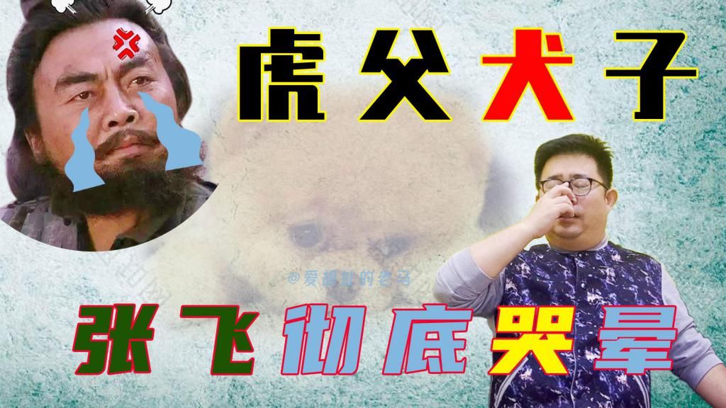 蜀汉|探究蜀汉灭亡最后时光,谁在投降、谁在奋战,张飞之子是最大叛徒!