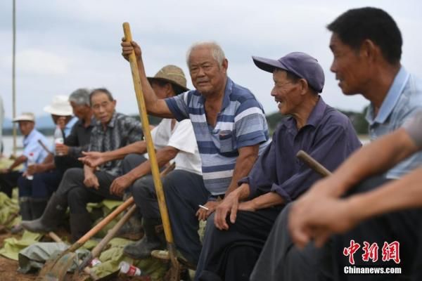 银发|安徽巢湖：唐马圩防汛一线的“银发战士”[组图]