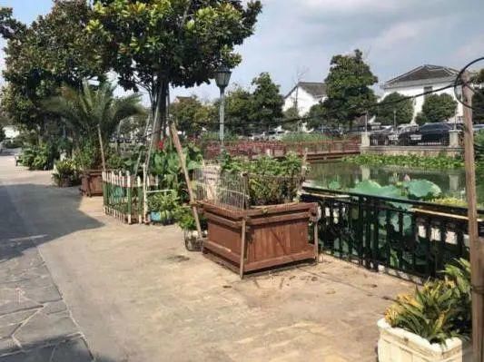 现象|文明创建曝光台丨今天曝光这些不文明现象！