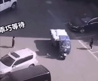  小可爱|这些小可爱是真实存在的吗？