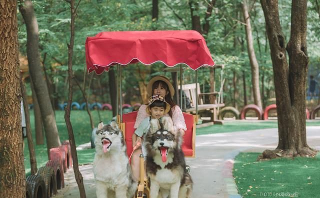  带走多少|无限量捞鱼还能免费全带走！这个暑假太行山自驾游，带娃去虎山
