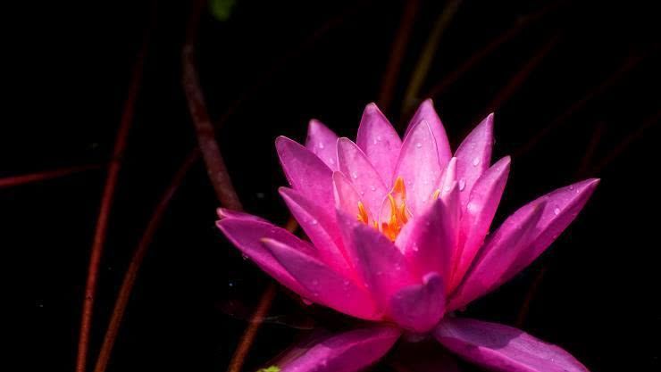  赚钱|8月开始赚钱如流水，贵人运旺，富贵不倒的四大属相