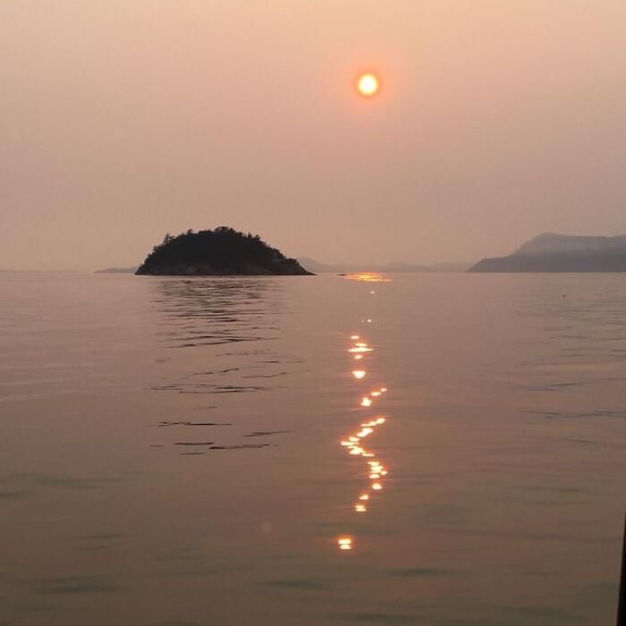  背景图|背景图·美好的生活已经开始对我这个小泡芙加奶油了哦