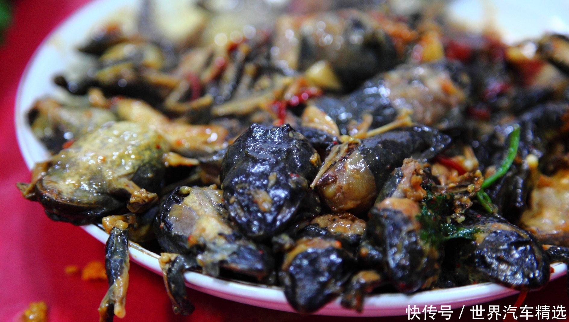 合作社|照片背后的故事:这道人间美味的背后 有残忍的虐杀存在