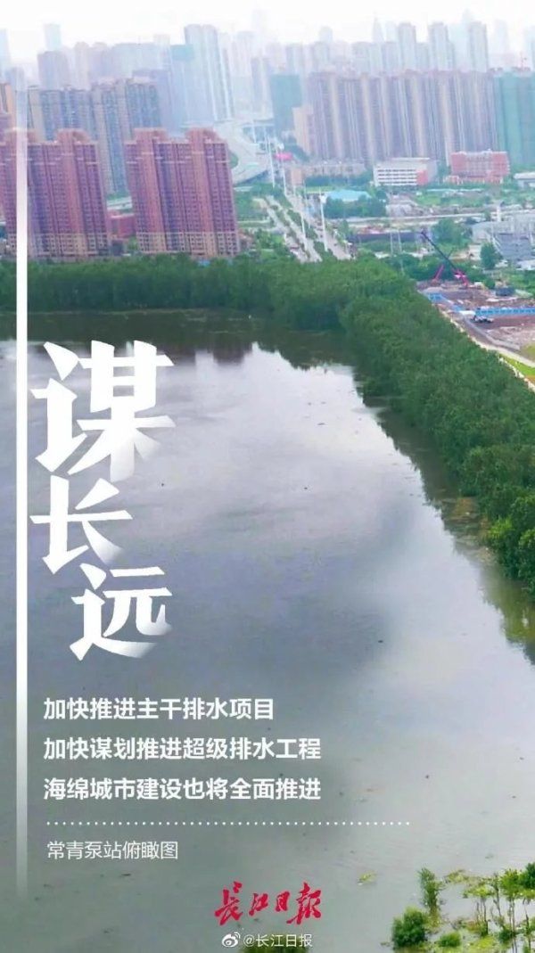 经受|武汉经受住八轮强降雨考验，它们起了关键作用