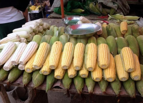 聪明人|聪明人从不买的四种菜,很多人都不懂,菜贩子我们从不吃