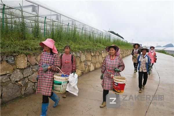  日报|贵阳日报传媒集团蹲点调研行之清镇：提质增效决胜全面小康（上）
