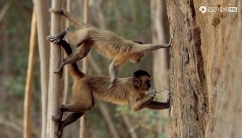  佳作|豆瓣预定超9分的佳作：原来我们错过许多惊喜，真遗憾没早点看到