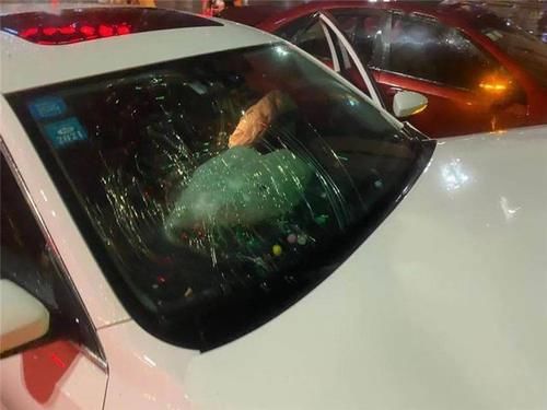  台风|台风天醉驾，平阳这位女司机胆真大