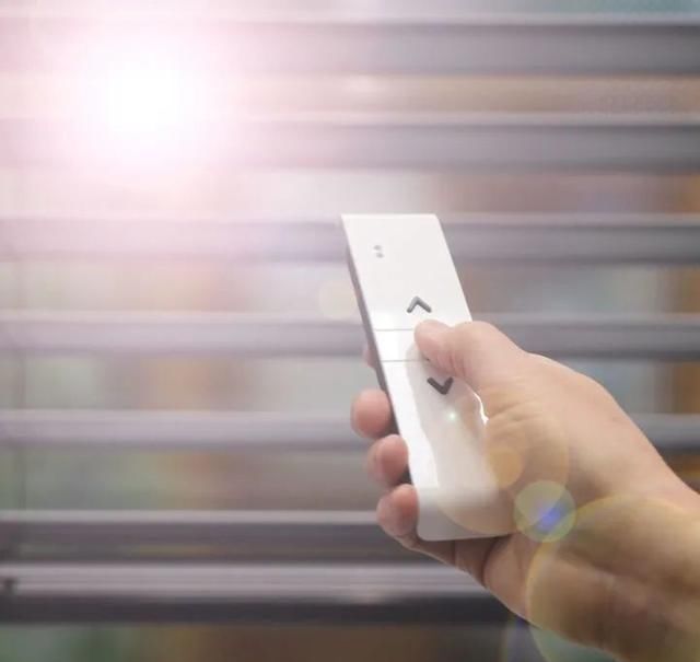 别称|同一物,天南地北的叫法竟差这么多