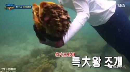  资格去采|每次都是艺人背锅，实惨！