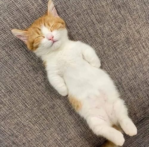 女子|女子莫名收到9.9到付邮费快递，这种状况你遇到过吗？