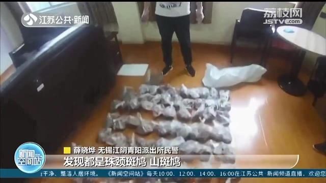 饭店|男子3个多月非法狩猎1000多只斑鸠 民警：20只就构成刑事处罚