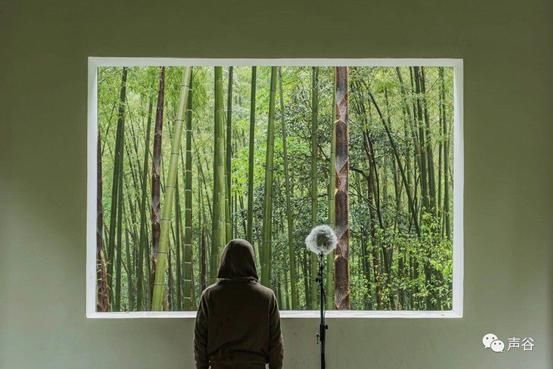  自然声音|这条推送里的声音，太治愈了