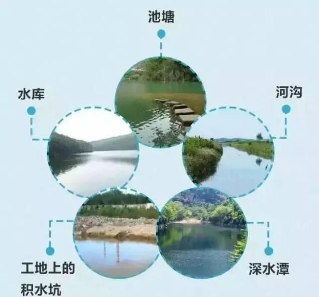 事故|韶观·评论|未雨绸缪,严防溺水事故发生