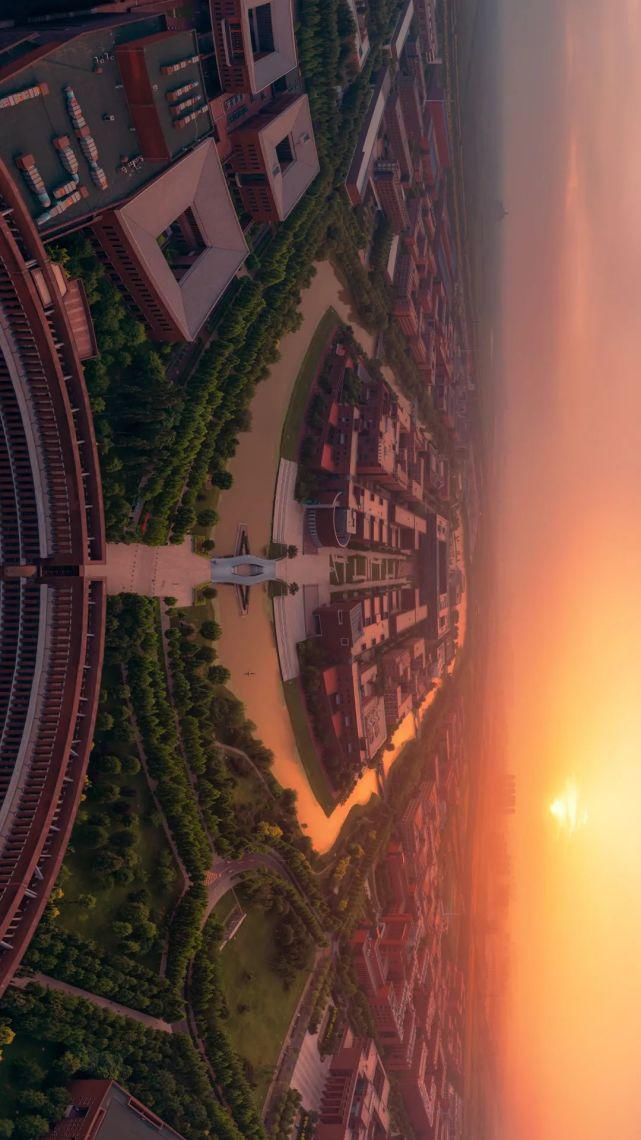 北洋园|啊,我的天大啊!