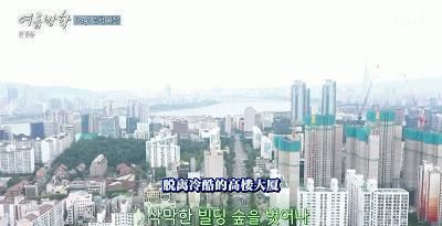  综艺|抛开抄袭风波，确实很治愈……