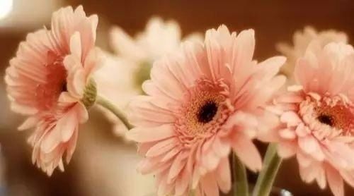  是累|有时候，真的是累了