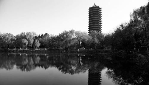  气死|75岁北大校长娶拜金女，家产被骗离婚还赔50万，78岁被活活气死！