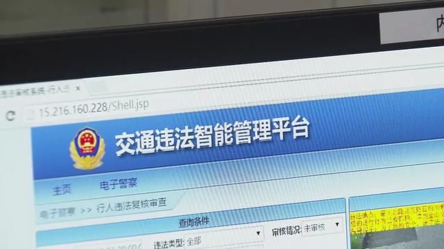 已有|今起，行人乱穿马路、闯红灯直接处罚！金山已有人收到罚单