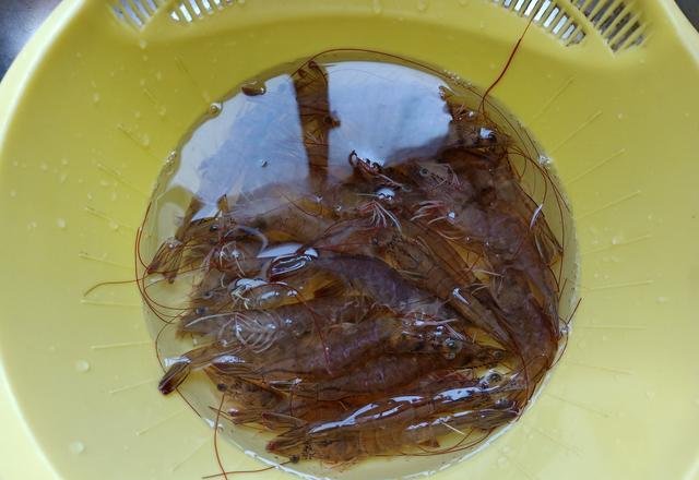 太香太|虾这么做,虾头虾壳都能吃,太香太美味,10斤不够吃,蒜末也抢光