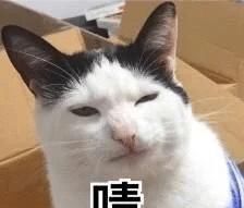  周震南|选秀冠军有啥用？第一名还不如后面几位发展得好