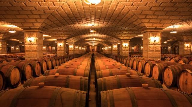  没吃到|狐狸没吃到的那颗葡萄，串起了几个世纪的夏天