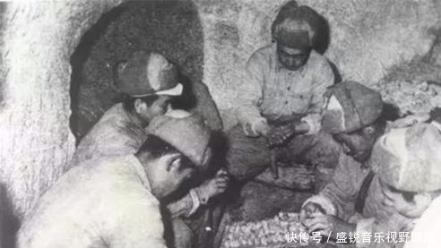 越战|对越战, 连长受伤躲进山洞, 看见头顶的东西, 说: 快, 把它打下来