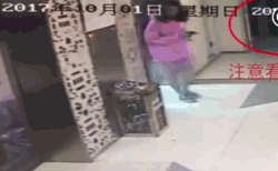  日报|娱乐日报|毛晓彤新恋情曝光？金晨汪汐潮再被拍？孟佳solo倒数第一？