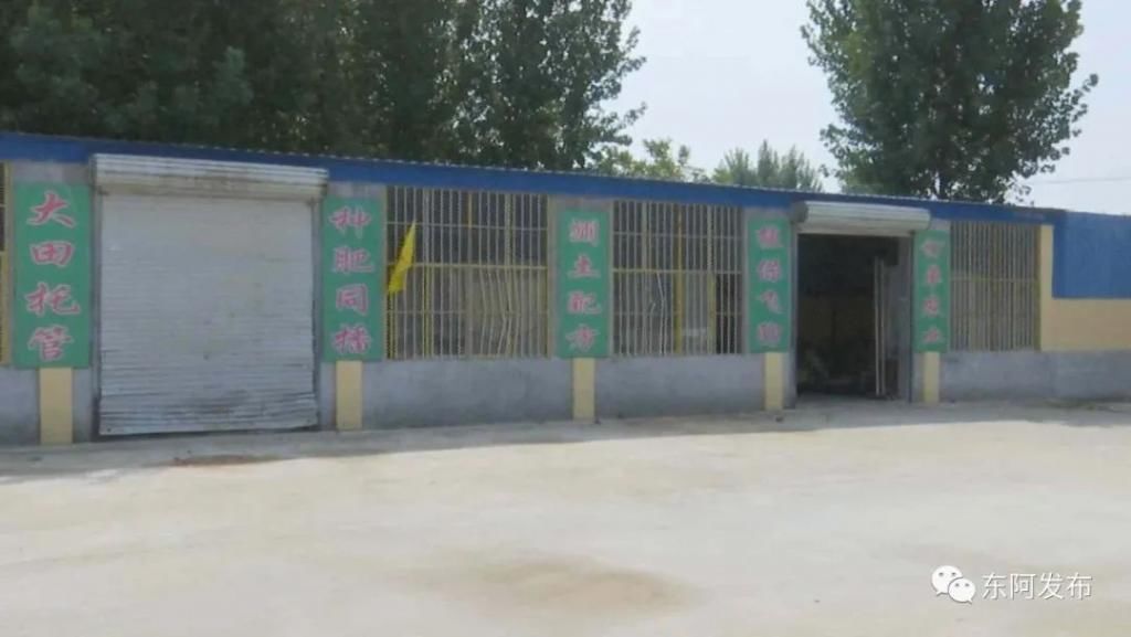 田野|【走向我们的小康生活】东阿：土地托管 “托”起希望的田野