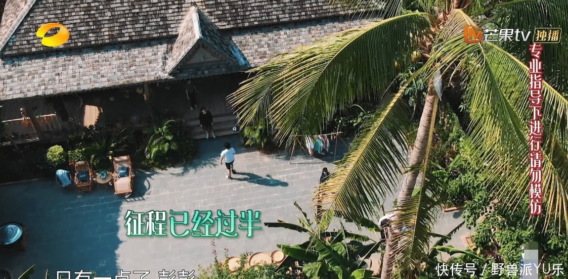 彭昱畅|节目四十度高温,黄磊何炅不想干活,彭昱畅冒险摘椰子背负了太多