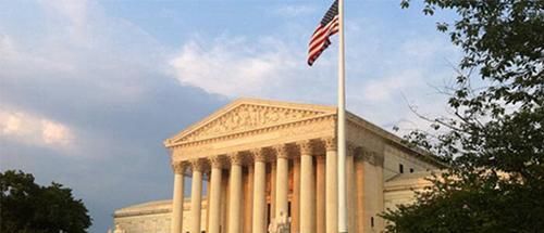  判刑|孩子被自家狗狗咬死，父母怎么判刑？美国罗德岛州这样做