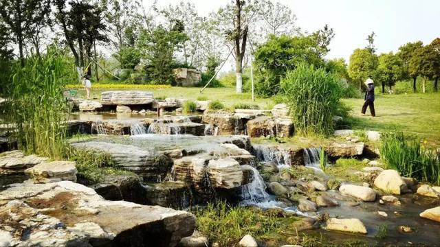 沿途|全自动无人驾驶的五号线要来了！沿途还有这些好玩的