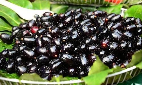  人工合成|不仅火锅材料有合成的，水果也有！2种人工合成的水果，你吃过吗