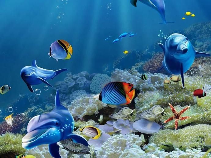  发现|如何发现鱼儿患上寄生虫病