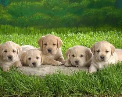 生活|12条搞笑段子，给生活减减压……