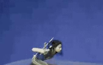 故事|刘亦菲，又红了丨百家故事