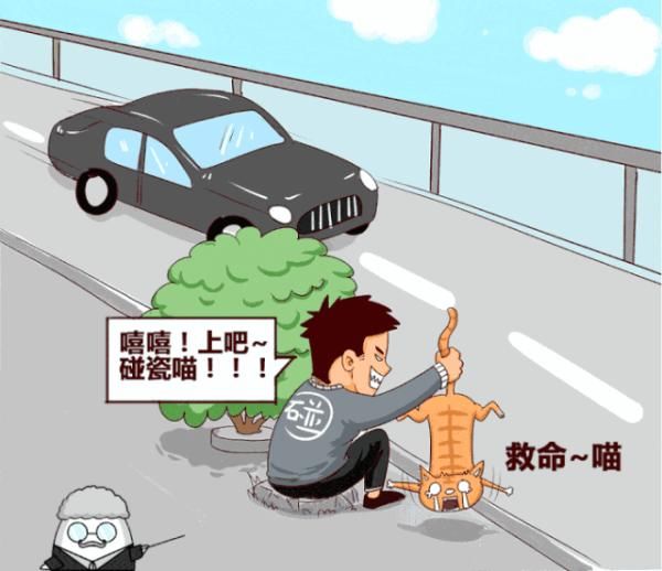  消瓷|花式碰瓷防不胜防？别慌！检察官教你以法“消瓷”！