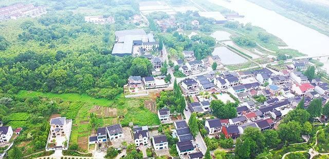  石头|从“灰脏秃”到“绿富美” 吴兴这个“石头村”大翻身