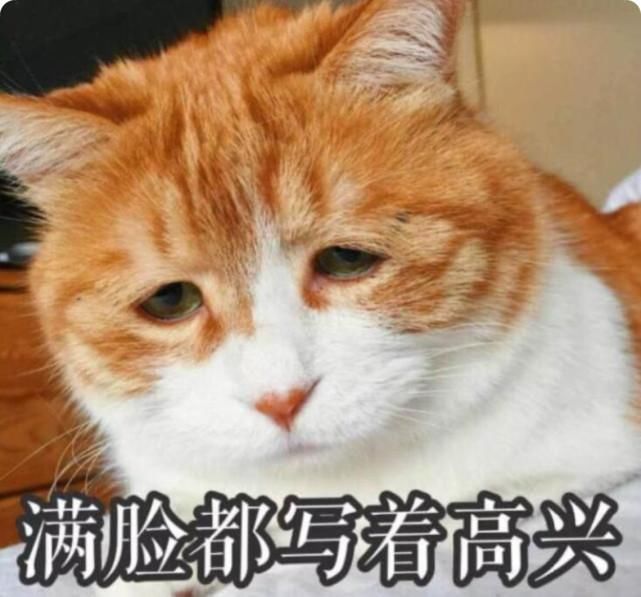 学科|如果学校允许“取消一门学科”,学生怎么选择,答案意想不到