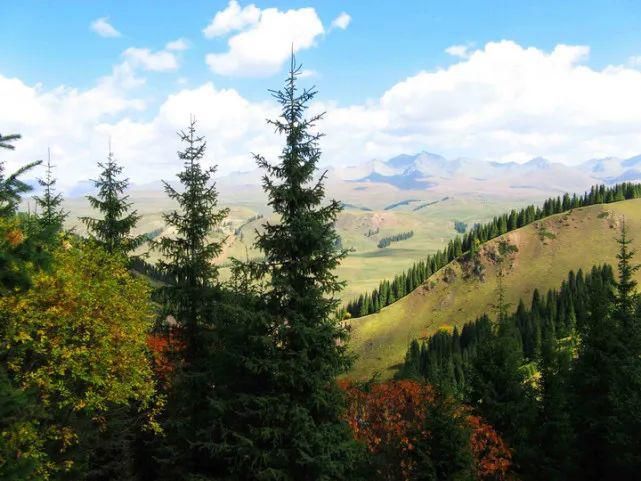  蹊跷|姜广富：蹊跷的命案｜故事