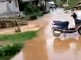搞笑|搞笑GIF:伴娘在哪里找的真能闹