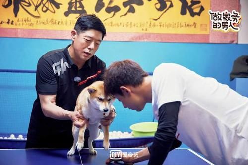  王祖蓝|《做家务的男人》第二季张继科遭遇花式催婚 范丞丞郭麒麟包饺子有妙招