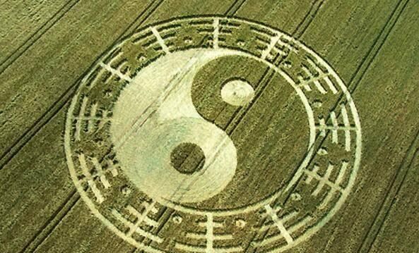  精神饱满|很多中医医师身体硬朗，精神饱满，因为他们常吃这6种东东